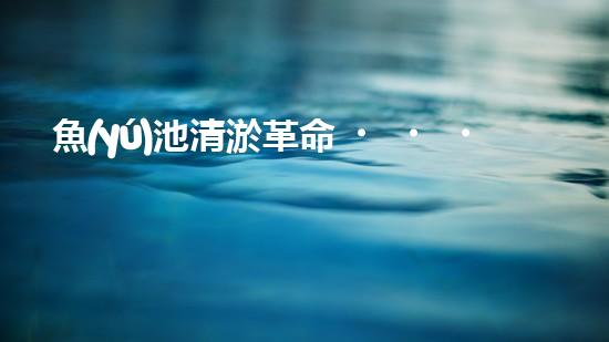 魚(yú)池清淤革命！一臺(tái)設(shè)備解決淤泥難題，你敢相信嗎？